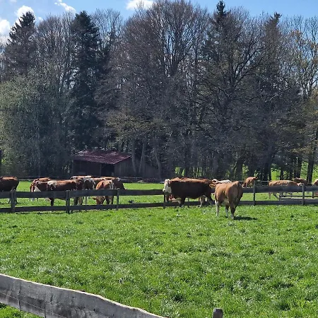 Konukevi Seeberghof Frasdorf